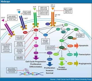 cancer pathway